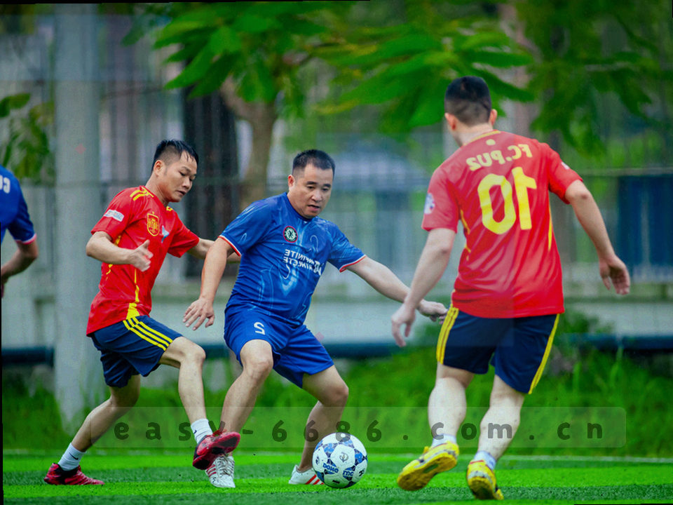 五组窗口卡片错位叠放，标签以等宽字体标注检索、文档、对照、服务、资源